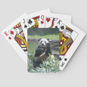 Baralho Panda Deck de Tocando Cartões