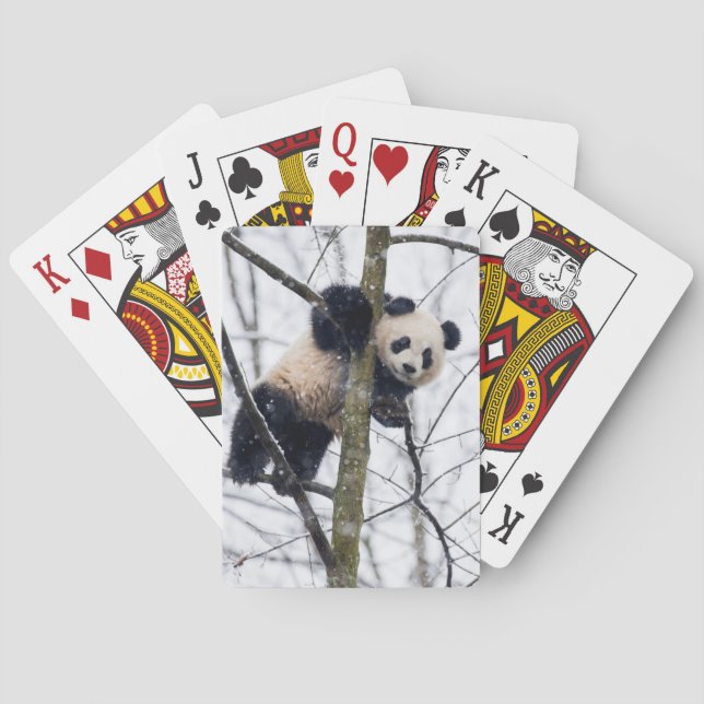 Baralho Panda do bebê na árvore (Verso)