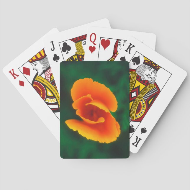 Baralho Papoula da Califórnia (Verso)