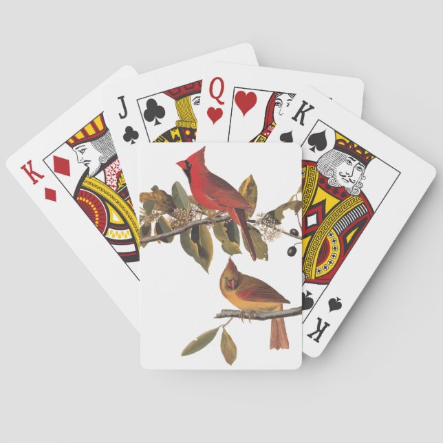 Baralho Par cardeal de Audubon em Árvore de Amêndoa Selvag (Verso)