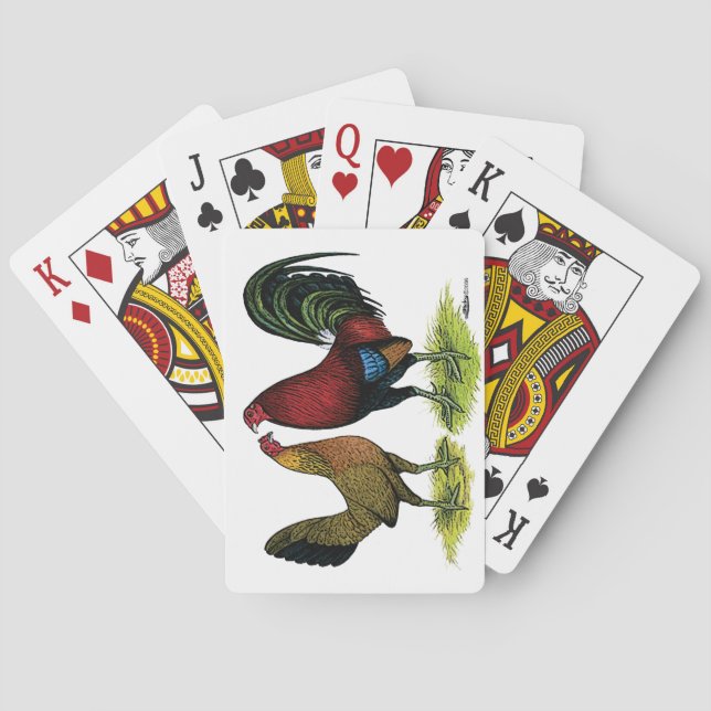 Baralho Par de Aves de Briga (Verso)