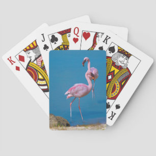 Baralho Pares de cartões de jogo cor-de-rosa dos flamingo