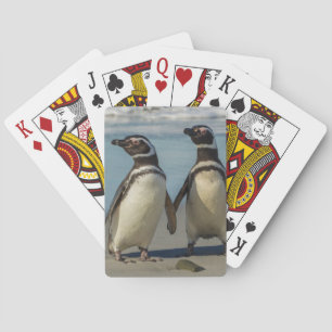 Baralho Pares de pinguins na praia