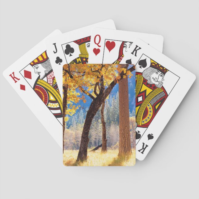 Baralho Parque Nacional de Yosemite (Verso)
