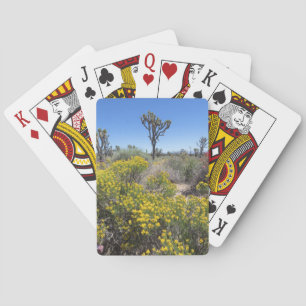 Baralho Parque Nacional Joshua Tree Em Bloom