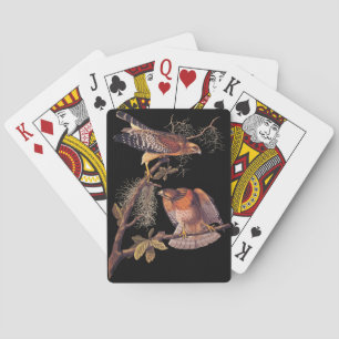 Baralho Pássaro de Preia ruivo Hawk Audubon