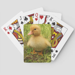 Baralho pássaro, pato, pato, amarelo, natureza, fofo, bebê