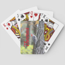 Pássaro Pica-Pica Com Vermelho