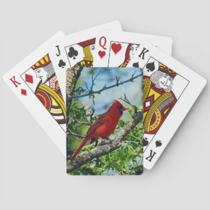 Baralho Pássaro selvagem cardinal vermelho