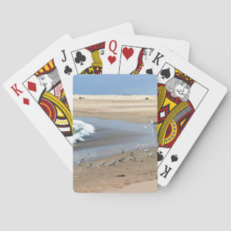 Baralho Pássaros da praia