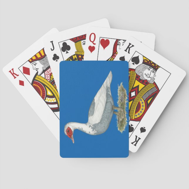 Baralho Pato-Pico Azul Muscovy (Verso)