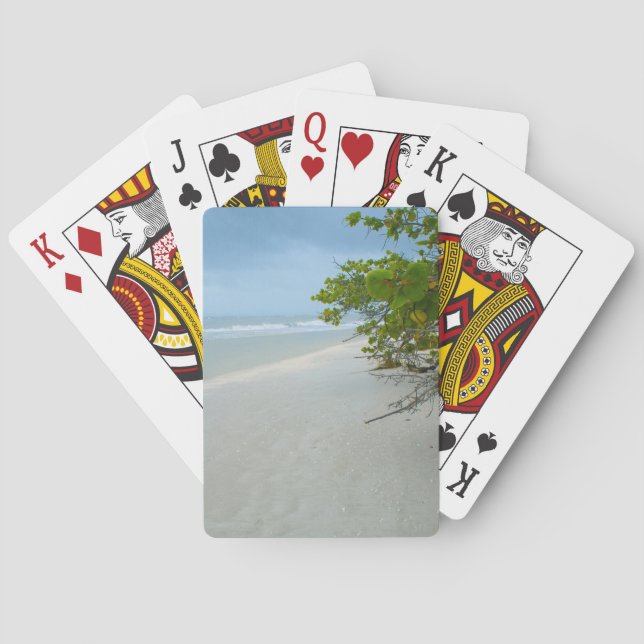 Baralho Paz E Silêncio Na Ilha Sanibel (Verso)
