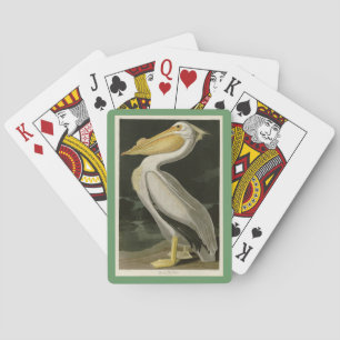 Baralho Pelicano Branco Americano, Aves da América de Aud