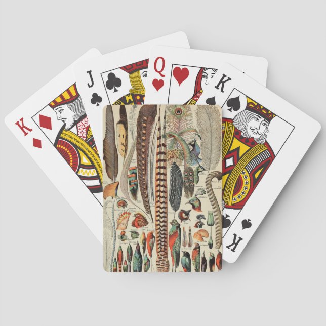 Baralho Penas Antigas de Feather Bird (Verso)