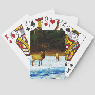 Baralho Personalizar produto