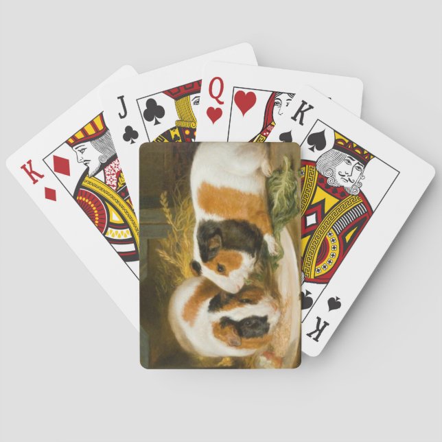 Baralho Pet Guiné Pigs Feeding (por James Ward) (Verso)