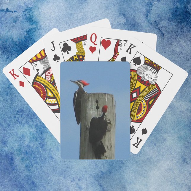 Baralho Pica-pau em uma fotografia de um Polo (A deck of playing cards with a photograph of two woodpecker birds on a pole.)