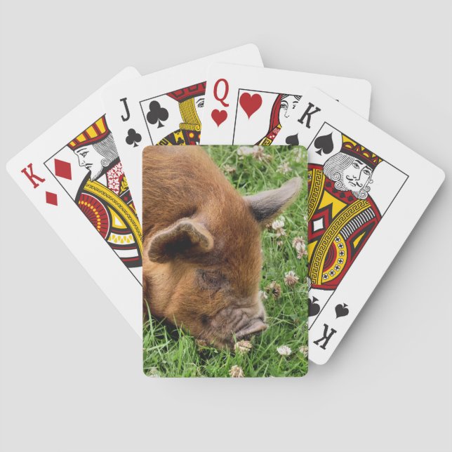 BARALHO PIG CUTO (Verso)