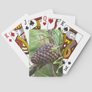 Baralho Pine Cone em Yellowstone