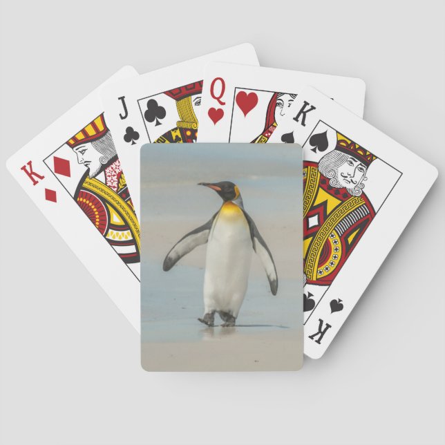 Baralho Pinguim caminhando na praia (Verso)