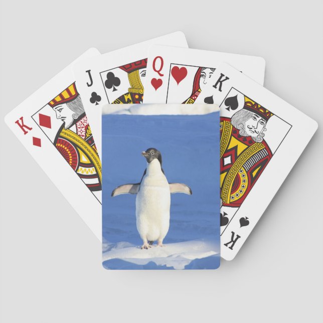 Baralho Pinguim engraçado na foto do gelo (Verso)