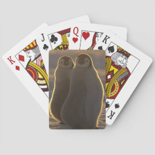 Baralho Pinguins-imperadores