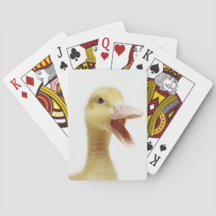 Baralho Pintinho do pato de Pekin, cabeça-tiro