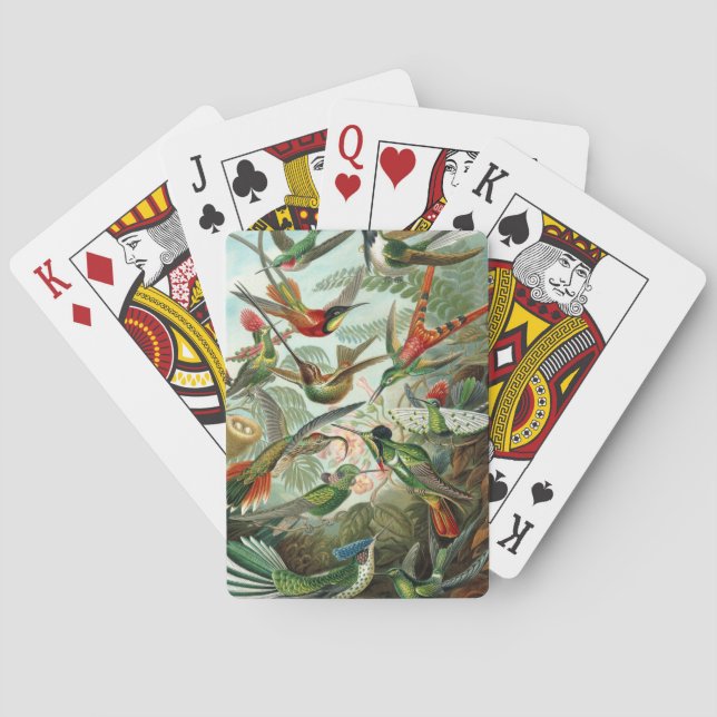 Baralho pintura clássica da fauna selvagem de beija-flor (Verso)