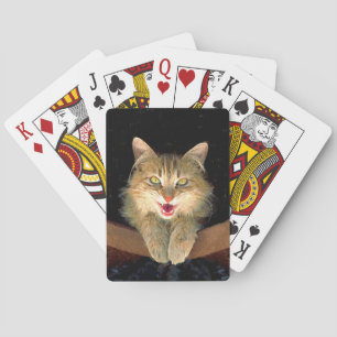 Baralho Pintura de Gato Maluco - Arte de Gato Original Fof