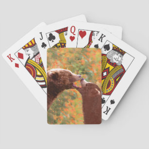 Baralho Pintura em Cubo e Mãe de Urso Grizzly - Arte da Vi
