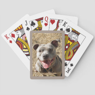 Baralho Pitbull With Big Smile Playing Cards
