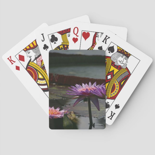 Baralho Placas de jogar Waterlily Lotus (Verso)