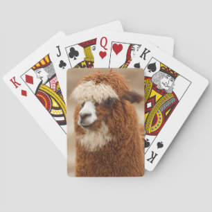 Baralho Placas de jogo Alpaca