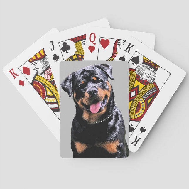 Baralho Placas de reprodução clássicas (Verso)