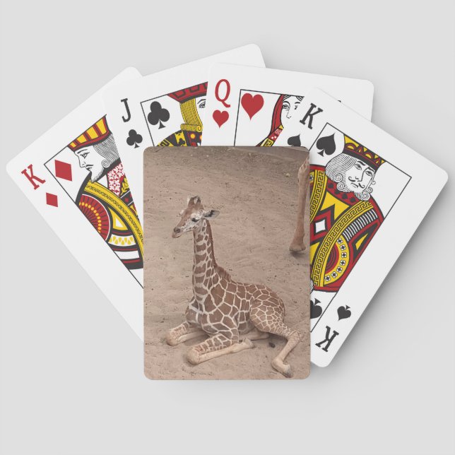 Baralho Placas de Reprodução da Princesa (Verso)