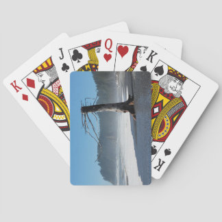 Baralho Placas de Reprodução de Árvore Funky