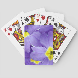 Baralho Placas de Reprodução de primavera Sprung