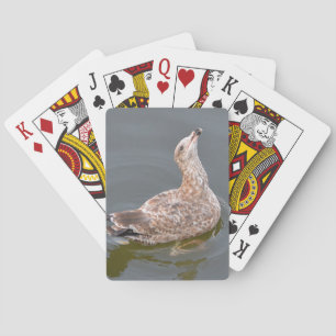 Baralho Placas de Reprodução de Seagull