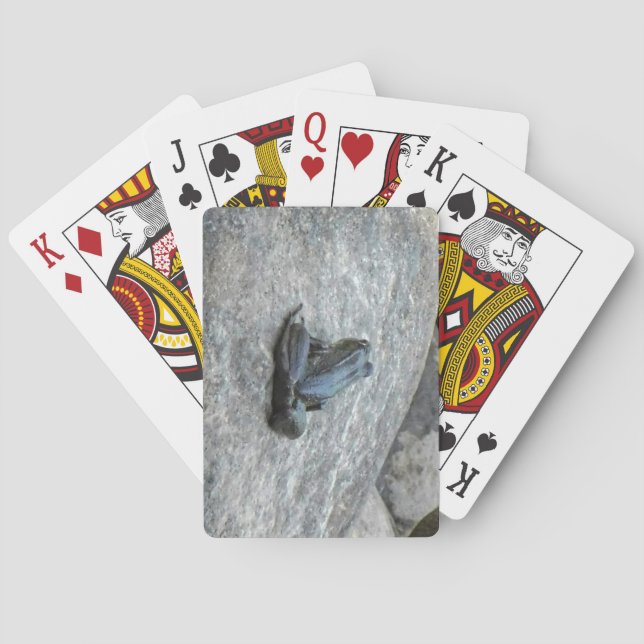 Baralho Placas de Reprodução do sapo (Verso)