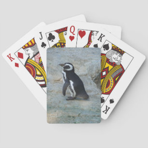 Baralho Placas Pinguin