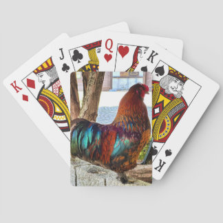Baralho Placas Poker Personalizadas de Rooster Vibrante
