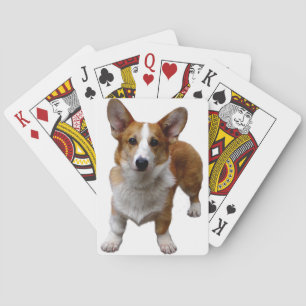 Baralho Plataforma do cão do Corgi de cartões de jogo