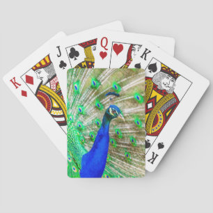 Baralho Plumagem de Peacock