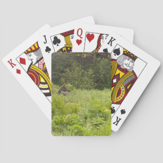 Baralho Poker Card Deck do Alaska