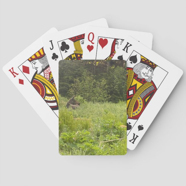 Baralho Poker Card Deck do Alaska (Verso)
