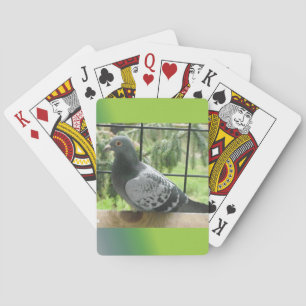Baralho Pombo