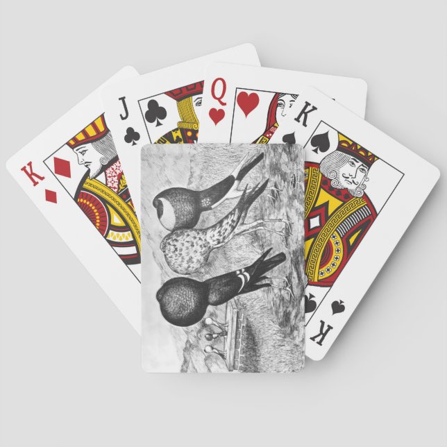 Baralho Pombos do Pouter de Brunner (Verso)