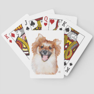 Baralho Pomeranian