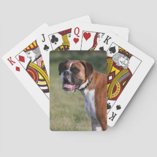 Baralho Posição do cão do pugilista