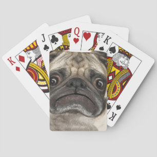 Baralho Presentes de Puggy Grumpy